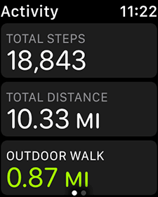 Apple Watch daily activity report