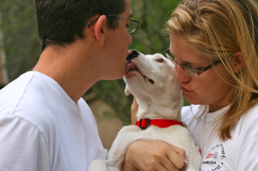 Newly Adopted Puppy A puppy right after being adopted by his new family.