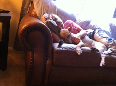 Snuggle Monkey