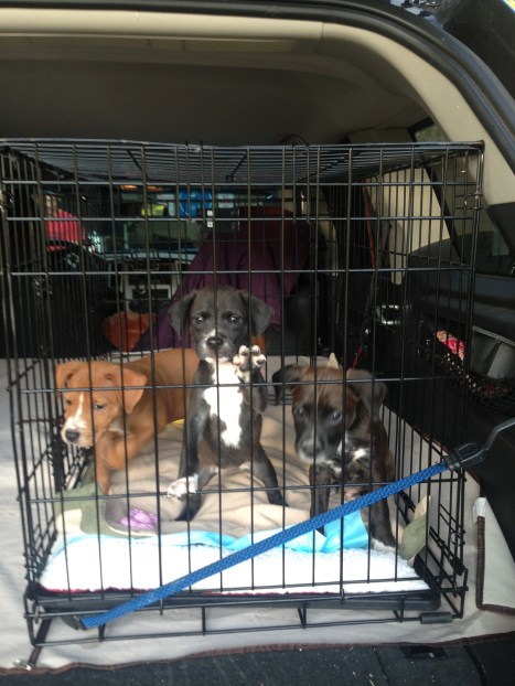 photo-14