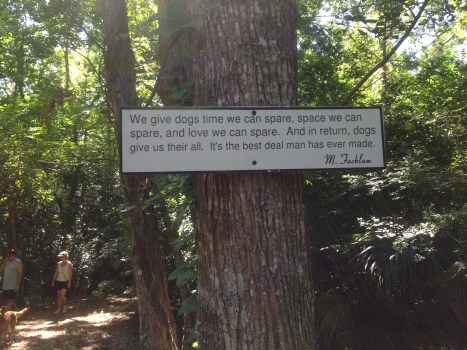 Hiking Trails