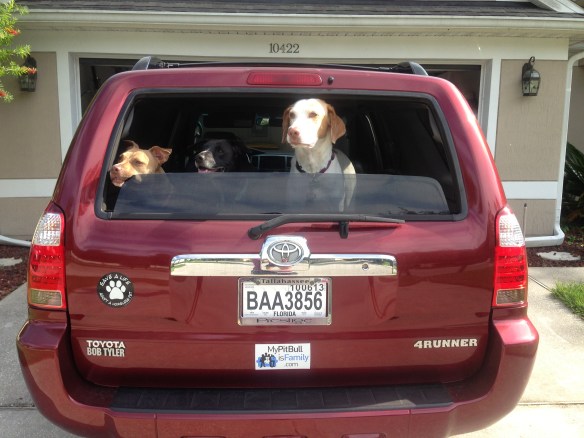 photo-31