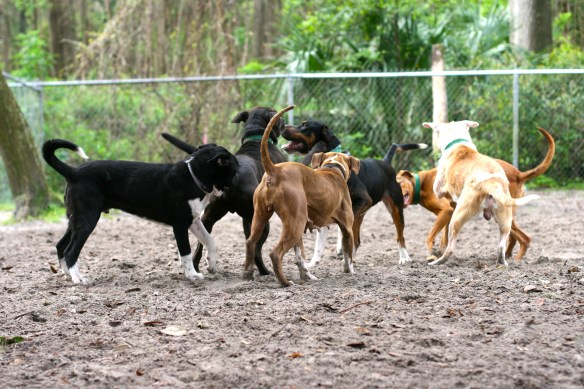 Play Group