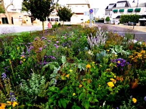 public flowerbed in Ommen