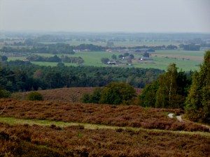 View from the top