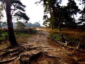 On the way up