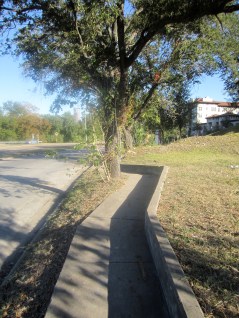 IMG_0775