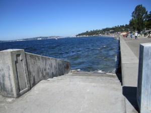 IMG_0385