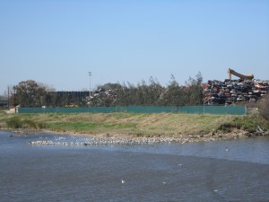 IMG_0996
