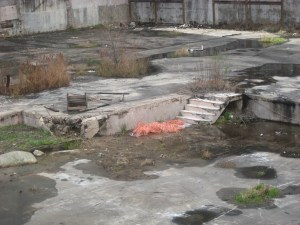 IMG_2544