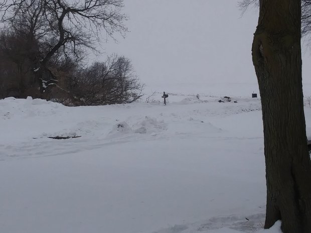 20190308_1731081052128681.jpg