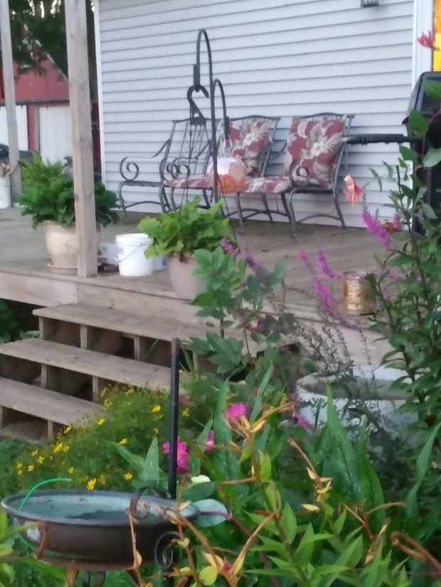 20190828_201348739998994.jpg
