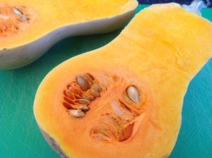 Close up Butternut squash