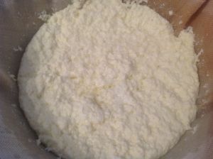 Curd in muslin