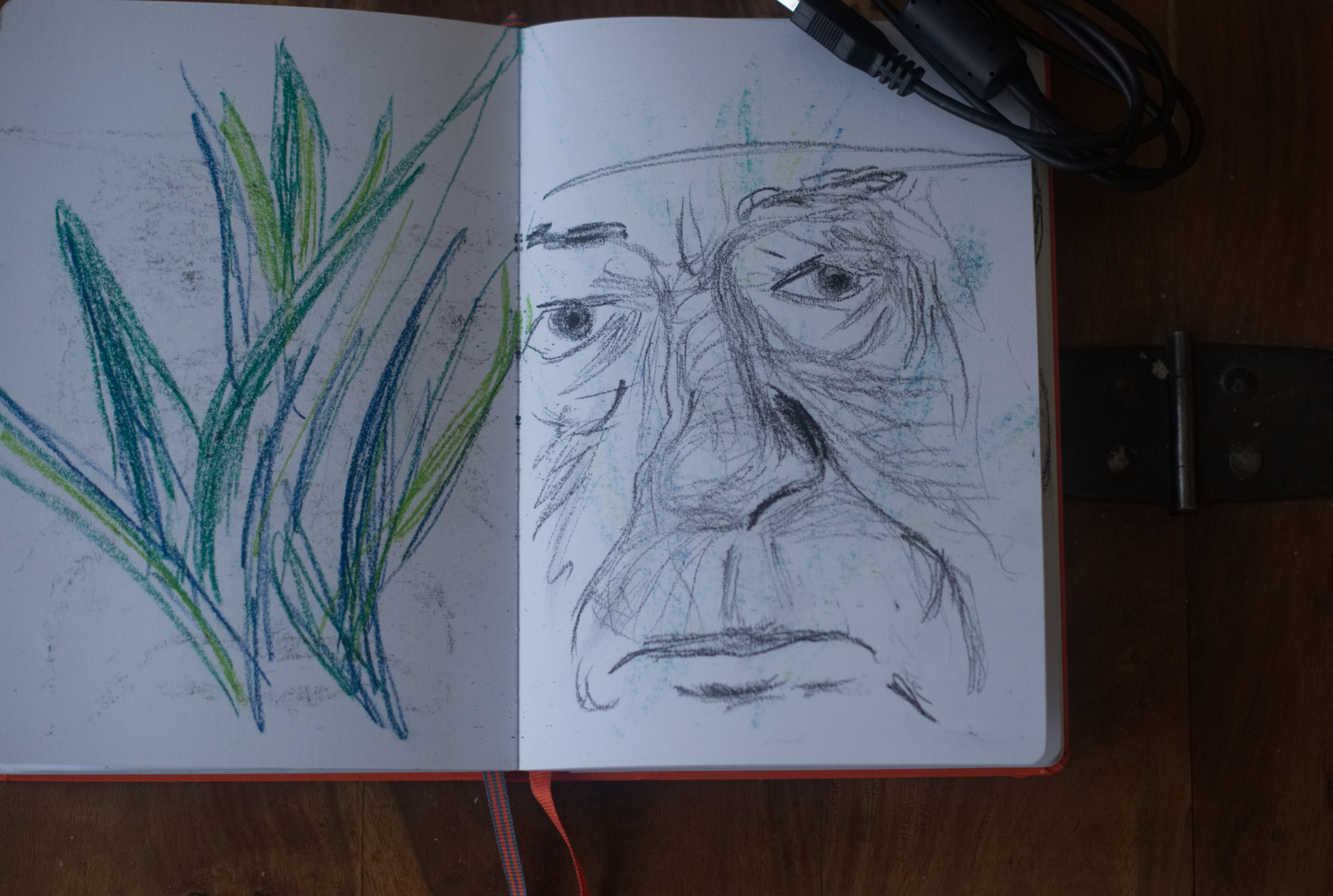 Sketchbook (Gambon detail)