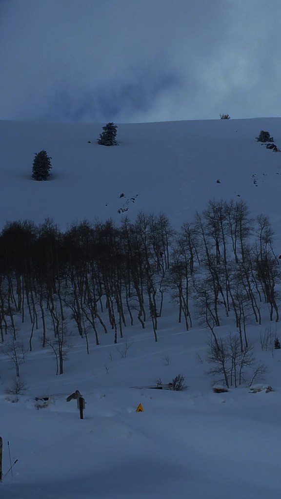 20170219_124637x