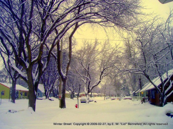 Winter Street - Photo taken December 30