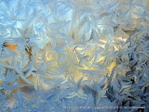frost ferns on the window