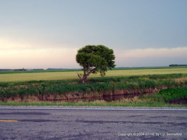 county road near Mapleton
