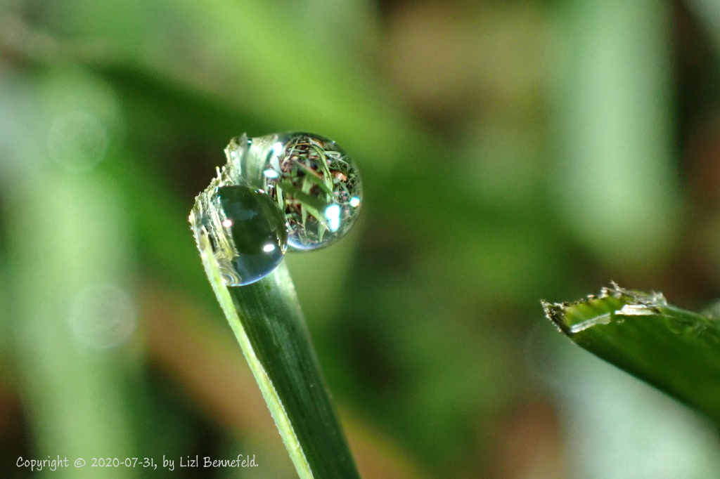 Copyright 2020-07-31 by Liz Bennefeld.