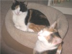 bootsie and annie1