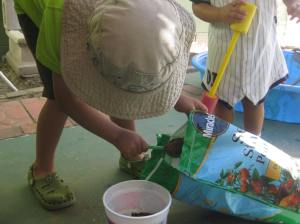 And so our little Earth Day project began as we added soil to a recycled cottage cheese container