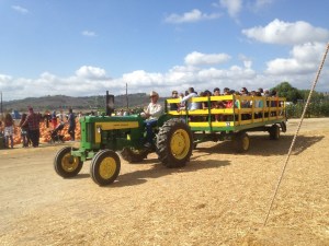 We enjoyed a tractor pulled ride and decided to head to the fields ...