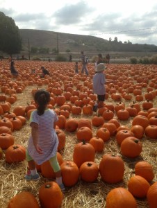 We started on the farm ...