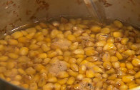 King Corn King Corn