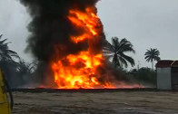 Poison Fire Poison Fire