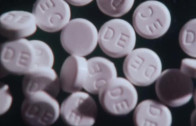Thalidomide: The Ninety-Eight We Forgot Thalidomide: The Ninety-Eight We Forgot
