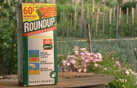 The World According to Monsanto The World According to Monsanto