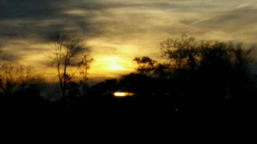20171104_173557-1723613408.jpg