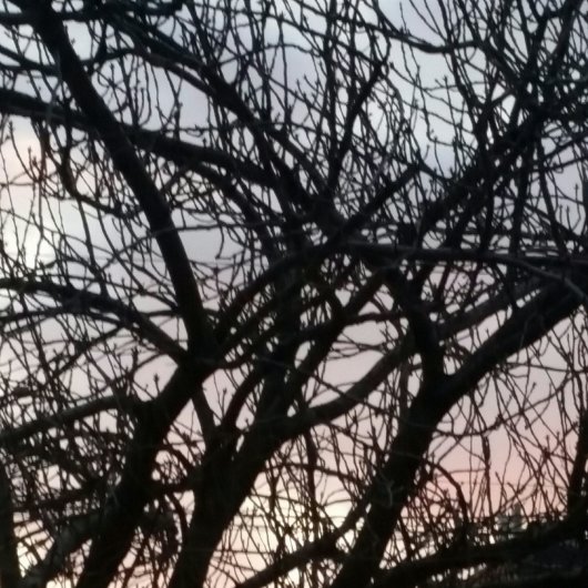 20180208_172116-11275882596.jpg