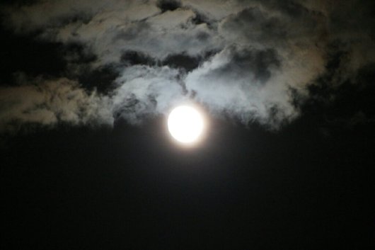 img_8806-full-moon1661090802.jpg