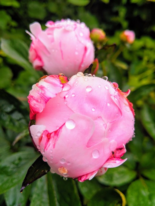 img_20190528_161140-effects