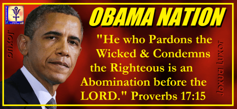 obamination1