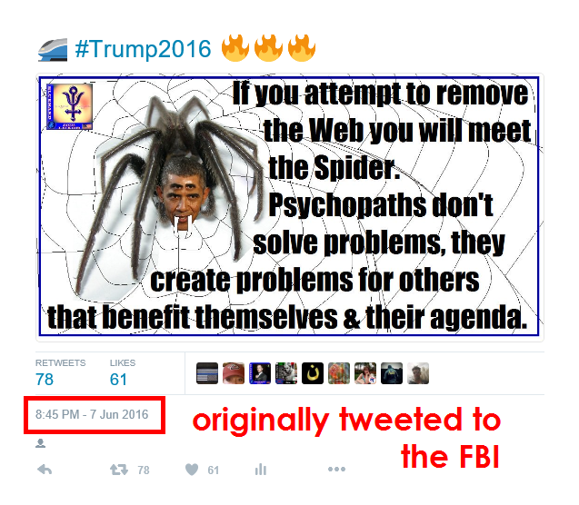 spider face