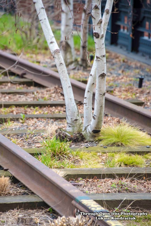 High Line Park