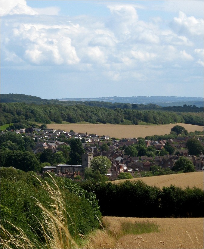 IMG_1373 IMG_1373