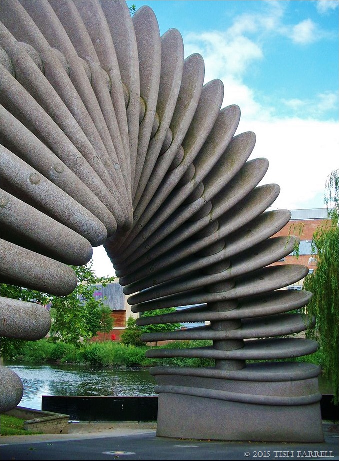100_5792 100_5792