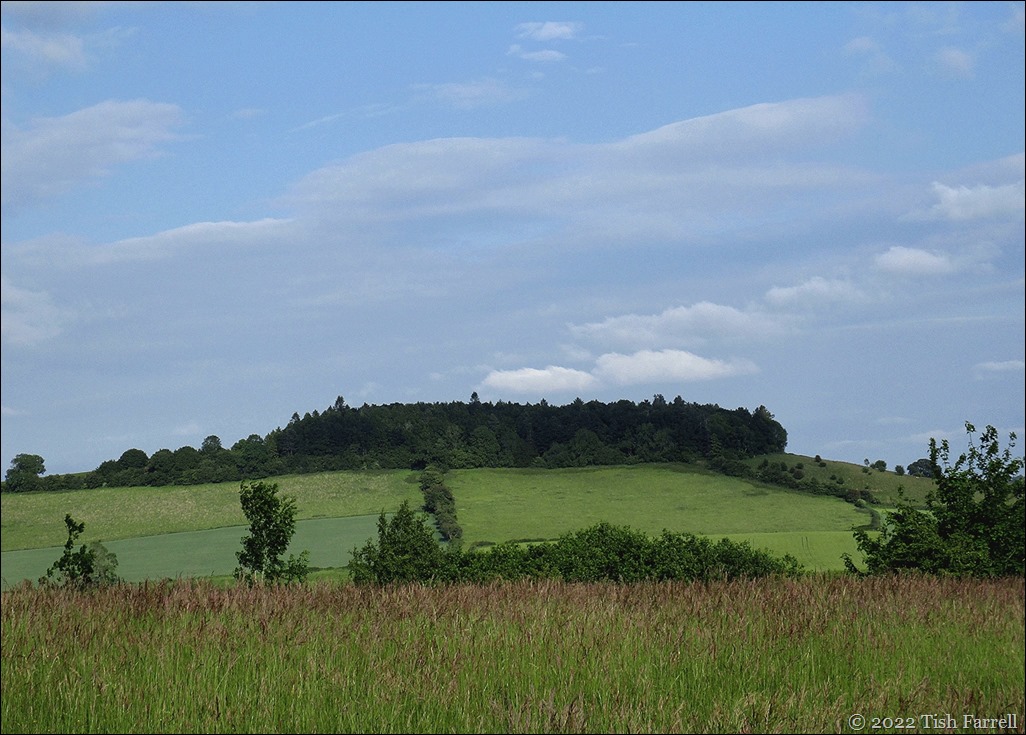 IMG_0640 IMG_0640