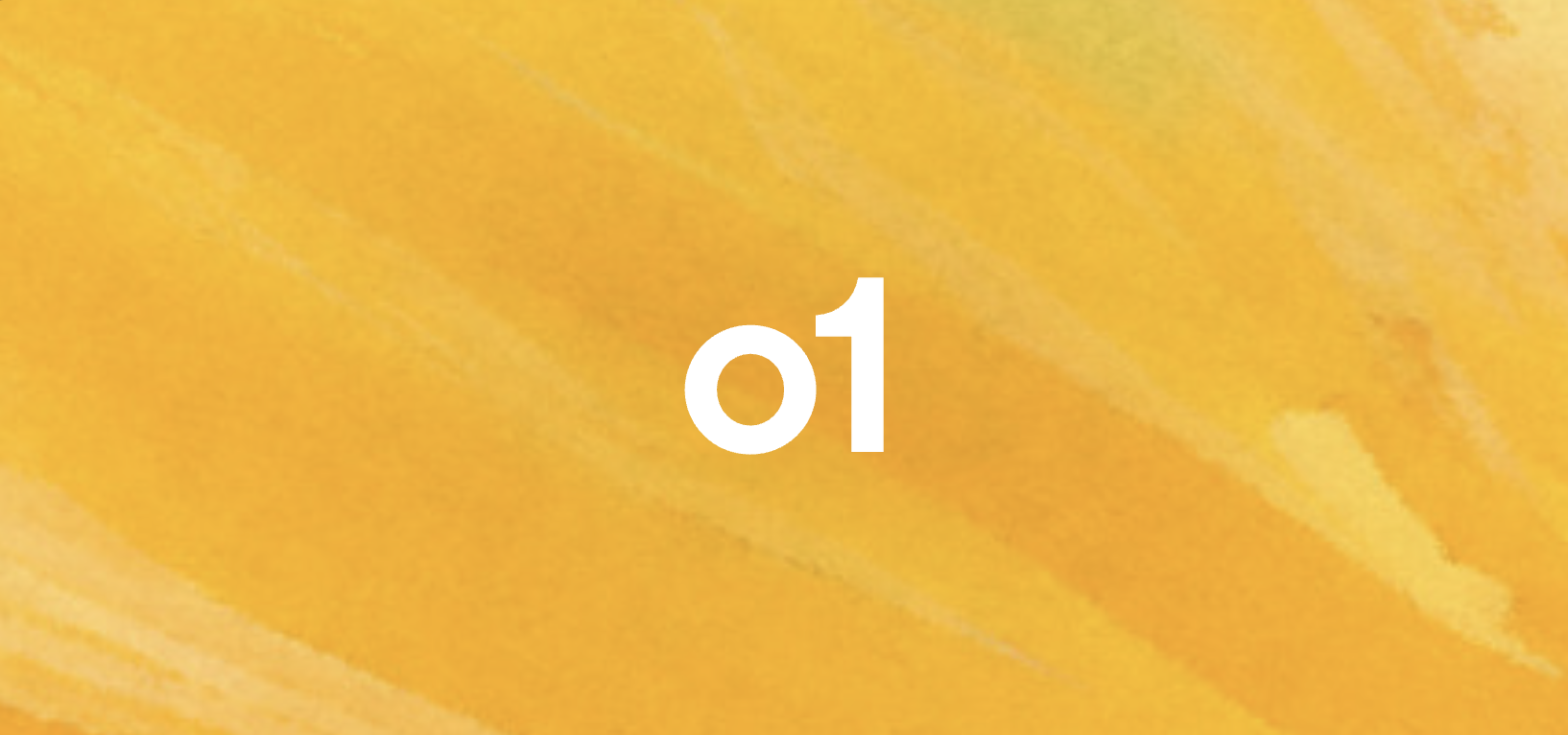 o1