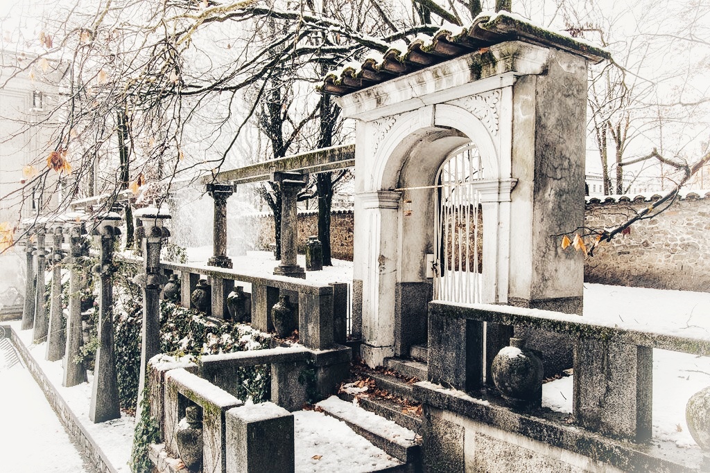 DSC_2019-01