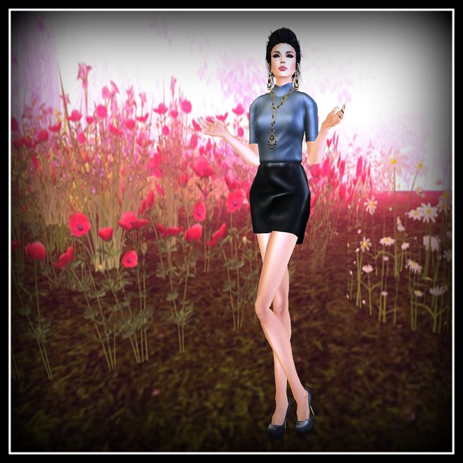 Snapshotsd_003nyu