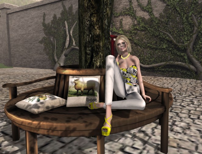 Snapshot_001g