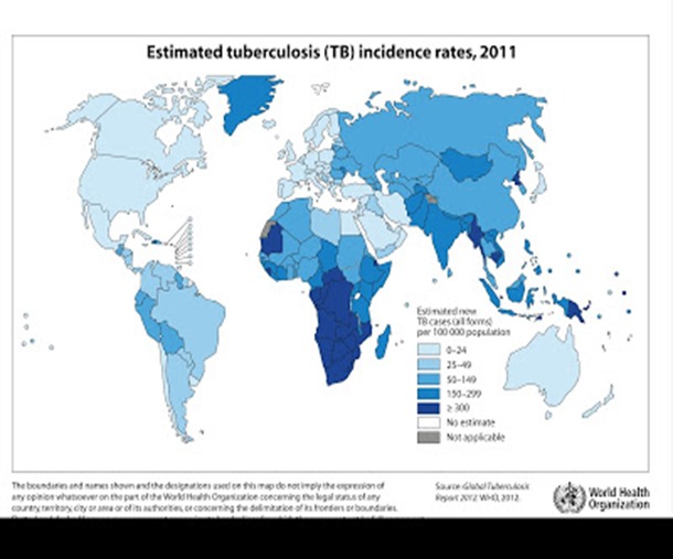 tuberculosis_incidence_global_2011 tuberculosis_incidence_global_2011