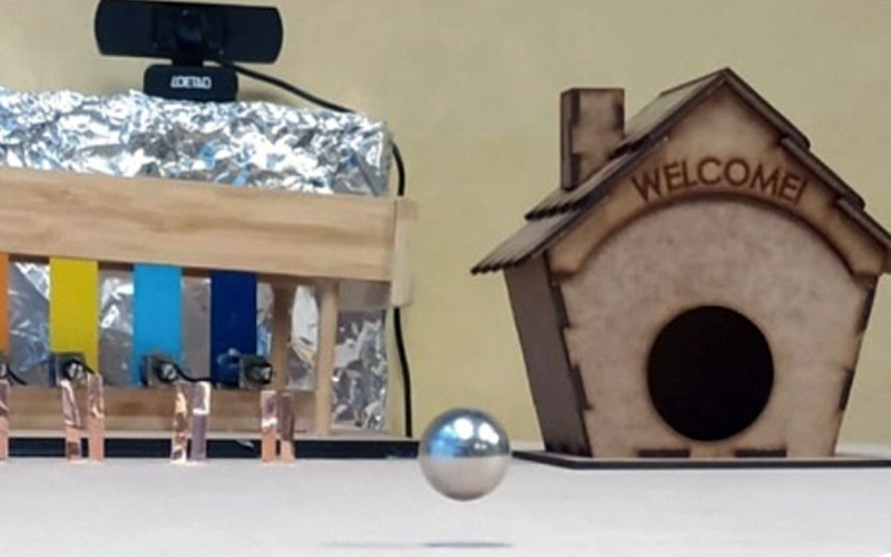 LevPet: A Magnetic Levitating Pet