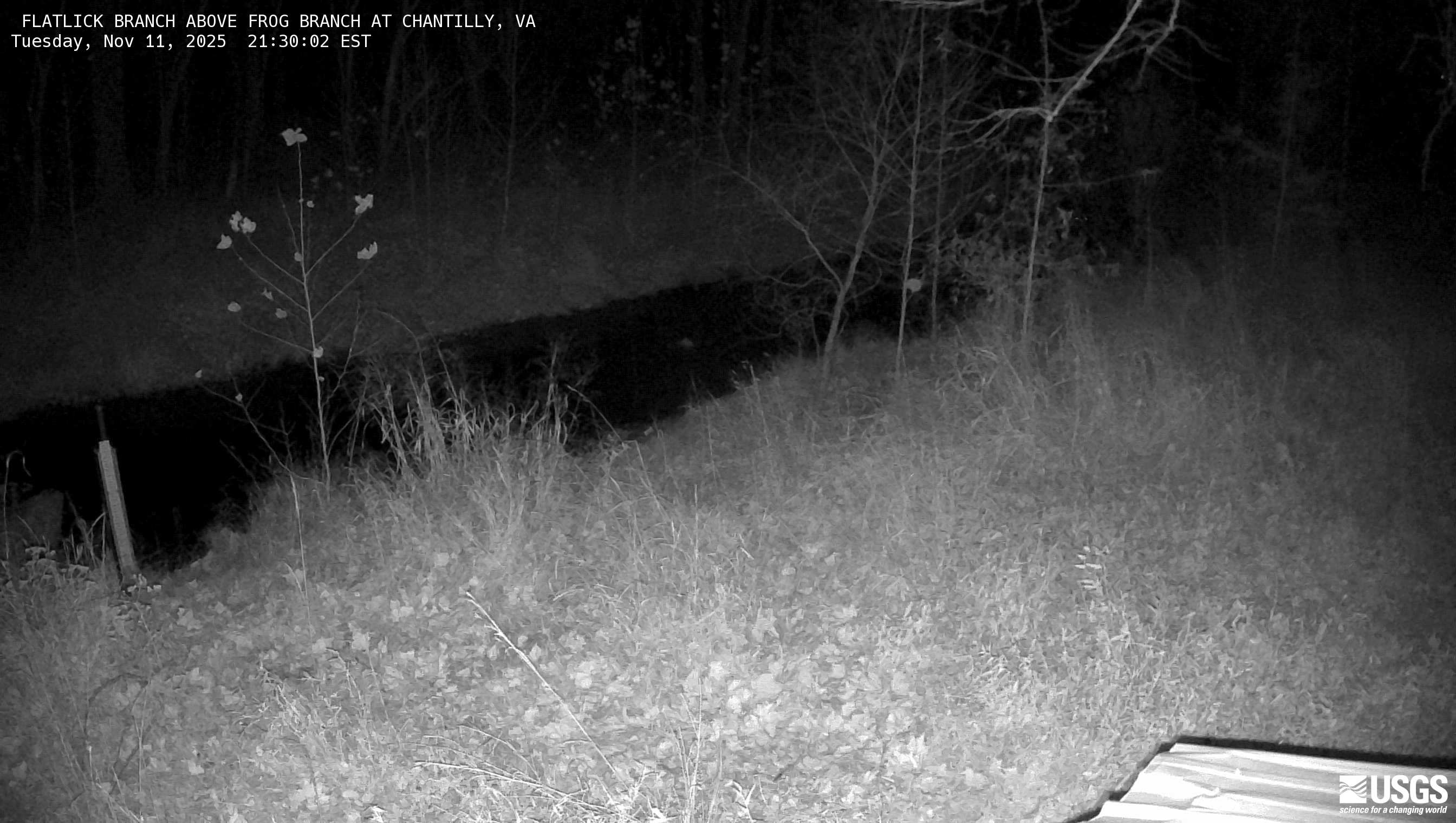 Most recent imagery of the Flatlick Branch stream in Fairfax VA.