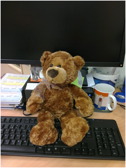 bear